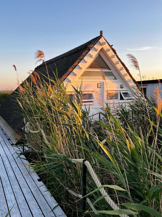 Chalet Seehütte Strandhaus Direkt Im Neusiedler Rust